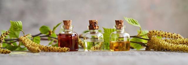 第三篇：花的奥秘植物探秘：探索奇妙的绿色世界(图6)