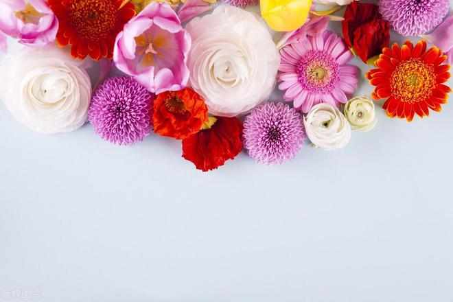 第三篇：花的奥秘植物探秘：探索奇妙的绿色世界(图8)