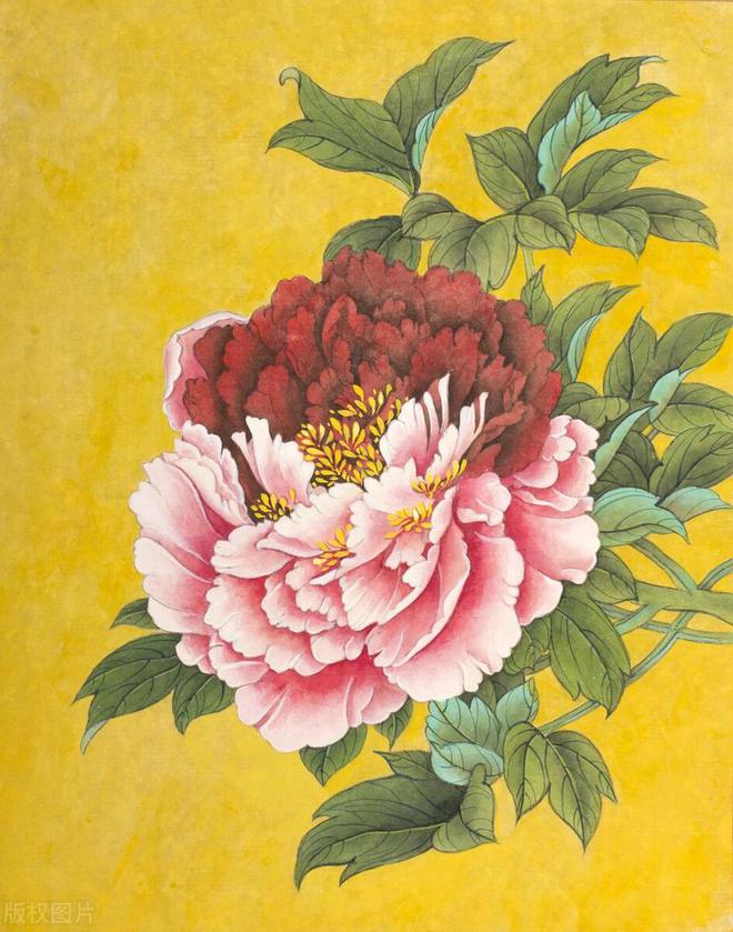 第三篇：花的奥秘植物探秘：探索奇妙的绿色世界(图10)