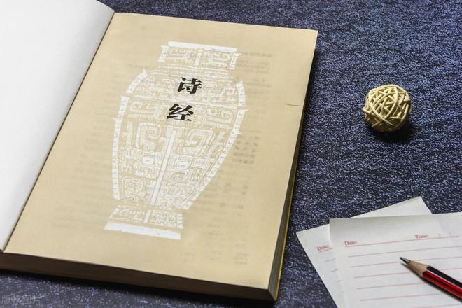 第三篇：花的奥秘植物探秘：探索奇妙的绿色世界(图11)