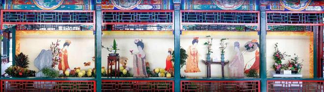 第三篇：花的奥秘植物探秘：探索奇妙的绿色世界(图12)