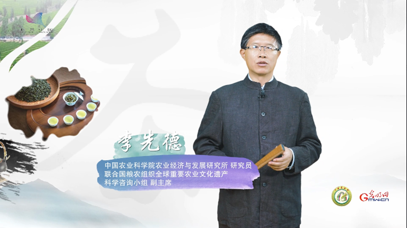 福州茉莉花茶：见茶不见花“和”在味中现(图2)