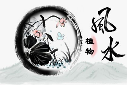 威廉希尔WilliamHill十种旺财又旺宅的植物摆进家门提升风水(图1)