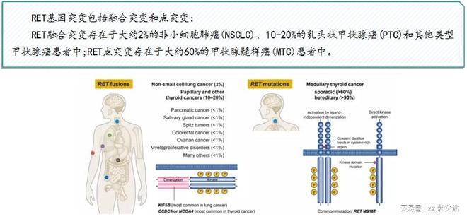 塞尔帕替尼知识小百科(图3)
