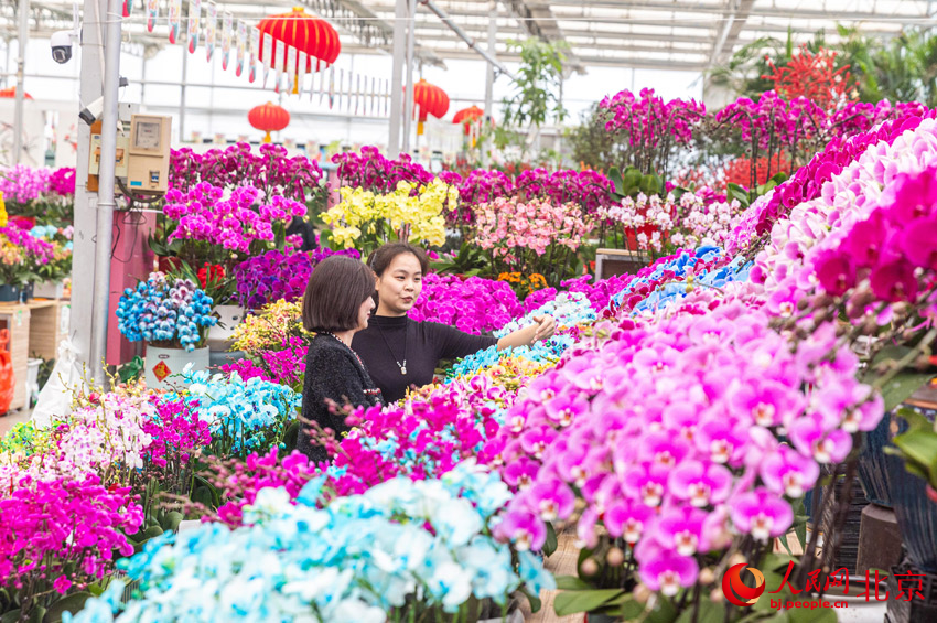 为首都花园城市添“花样”(图1)