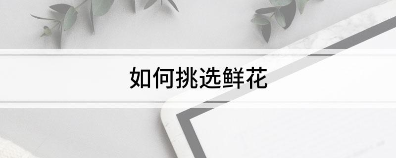 如何挑选鲜WilliamHill花(图1)