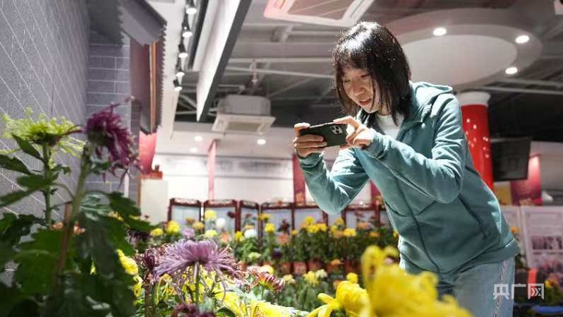 北京东城区市民菊花节启动(图3)