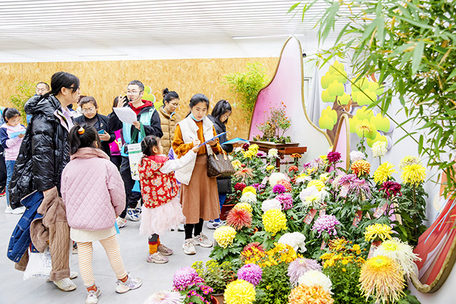 北京菊花擂台赛决赛WilliamHill举办“燕山秋色”当选“菊王”(图2)