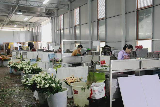 丽江的花送给他们！(图6)