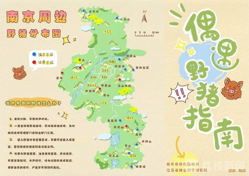 当一座特WilliamHill大城市遭遇“野猪围城”智库(图2)