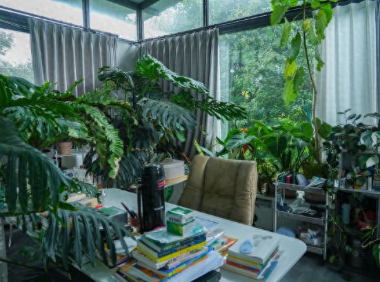 植物造梦者“海妈”：“网红”花园里萌芽出事业收获千万花友粉｜人生一品(图1)