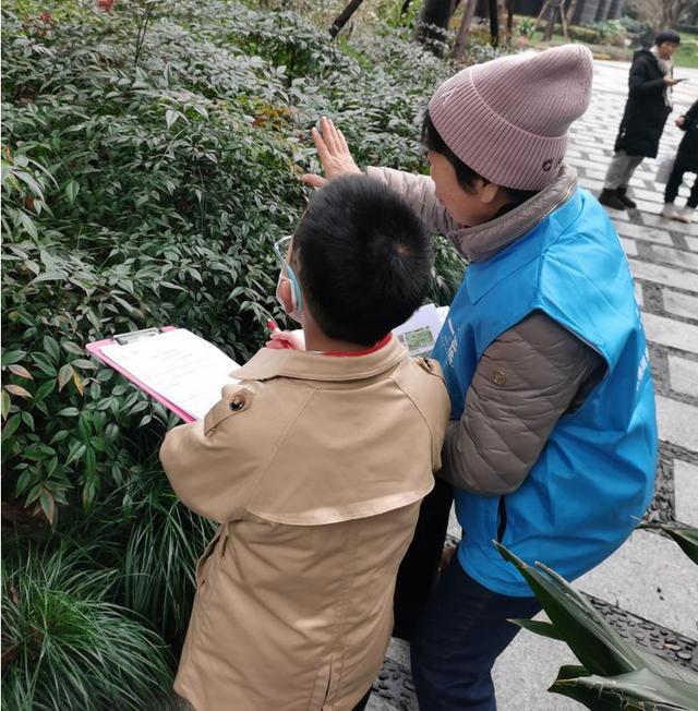 小额资助项目｜自然体验：冬季植物的秘密科普宣传社区植物探索体验活动(图6)