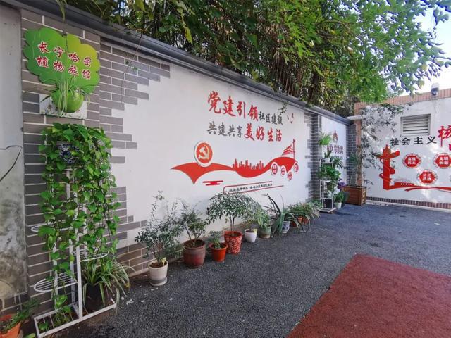推动绿色自治项目“遍地开花”上海北新泾这个“威廉希尔植物旅馆”再升级(图5)