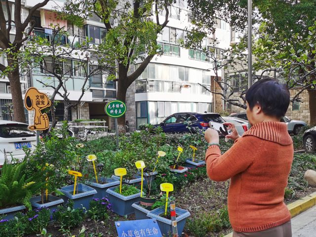 推动绿色自治项目“遍地开花”上海北新泾这个“威廉希尔植物旅馆”再升级(图6)