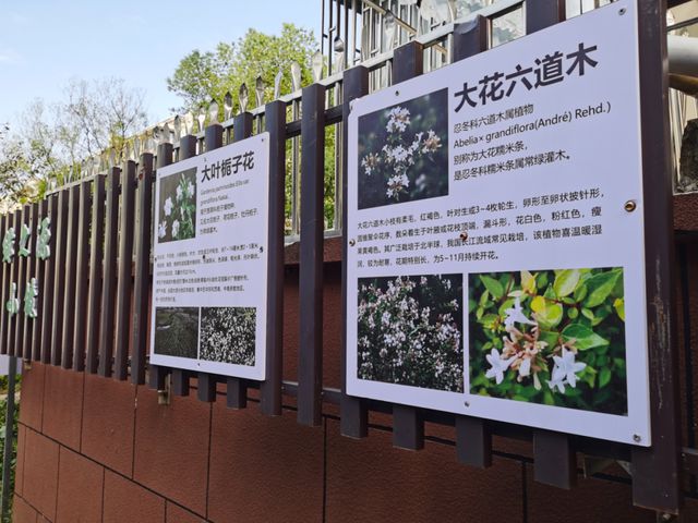 推动绿色自治项目“遍地开花”上海北新泾这个“威廉希尔植物旅馆”再升级(图2)