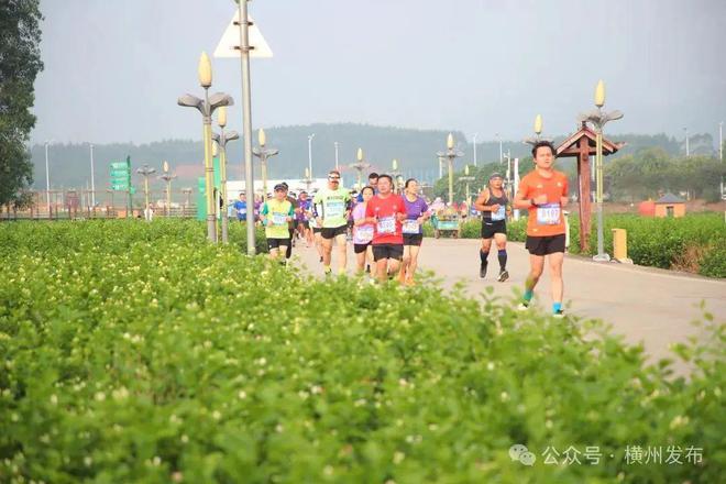 第六届世界茉莉花大会召开乡村振兴“横州样板”走向世界！(图12)