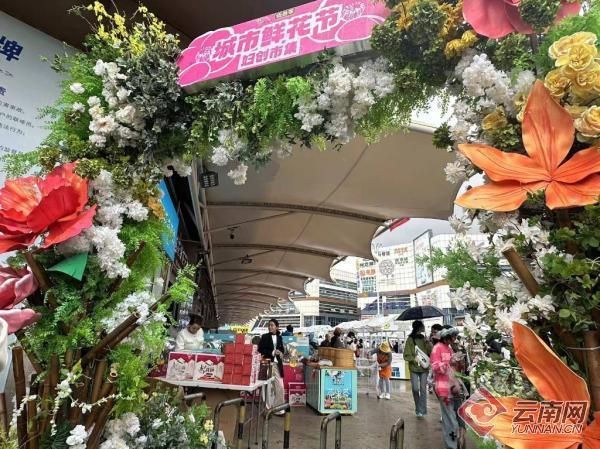庆国庆昆明斗南“花神节”来啦!(图2)