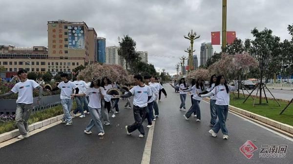 庆国庆昆明斗南“花神节”来啦!(图3)