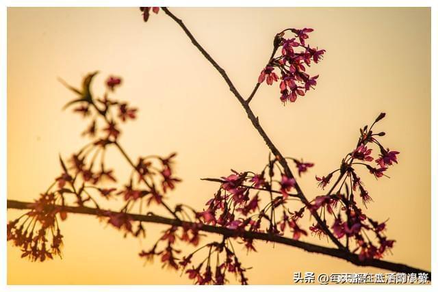让家庭兴旺的生活细节(图3)