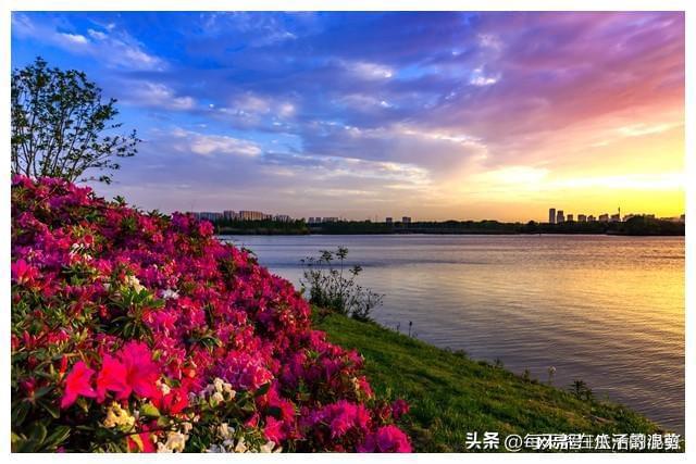 让家庭兴旺的生活细节(图2)