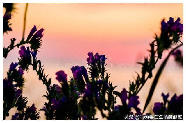 让家庭兴旺的生活细节(图1)