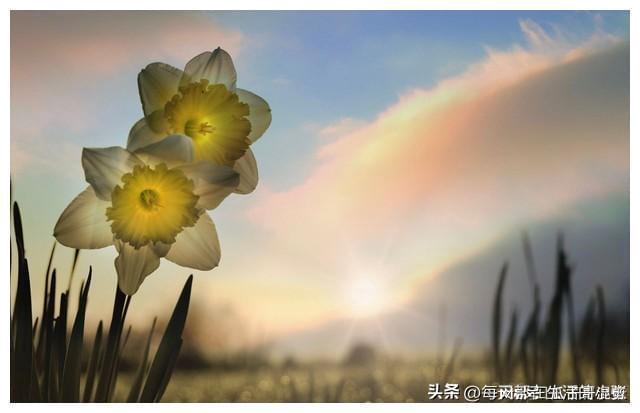 让家庭兴旺的生活细节(图5)