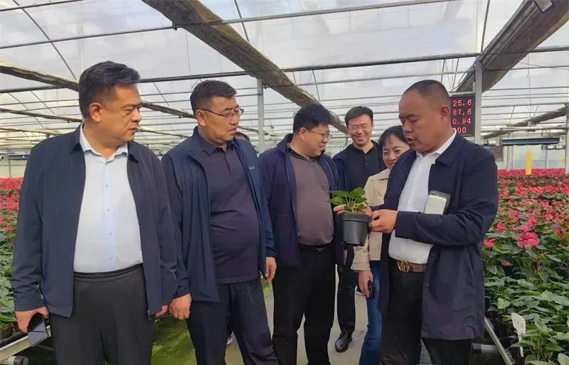 威廉希尔WilliamHill《潍坊民企之声》关注山东鑫和建设集团有限公司董事长赵远涛(图3)