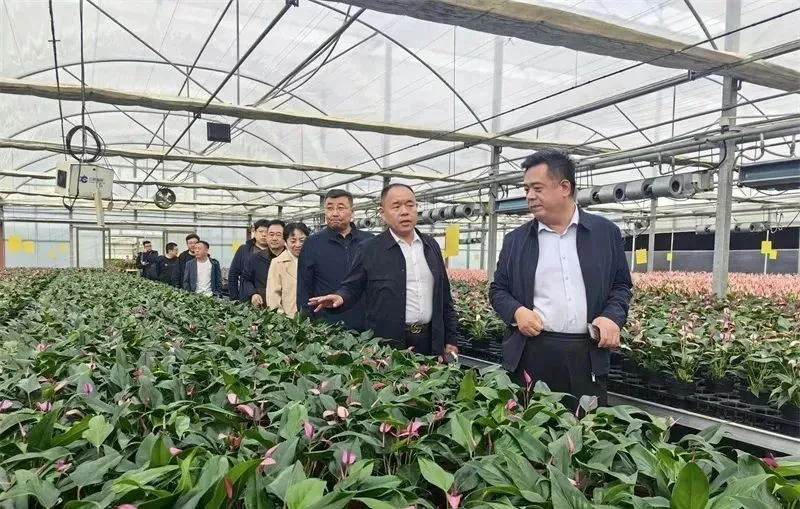 威廉希尔WilliamHill《潍坊民企之声》关注山东鑫和建设集团有限公司董事长赵远涛(图4)