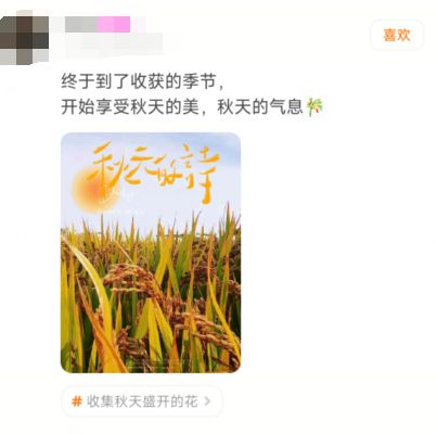 WilliamHill让美陪伴你左右快来和探探网友一起“收集秋天盛开的花”(图2)
