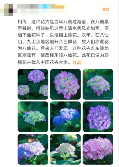 WilliamHill让美陪伴你左右快来和探探网友一起“收集秋天盛开的花”(图5)