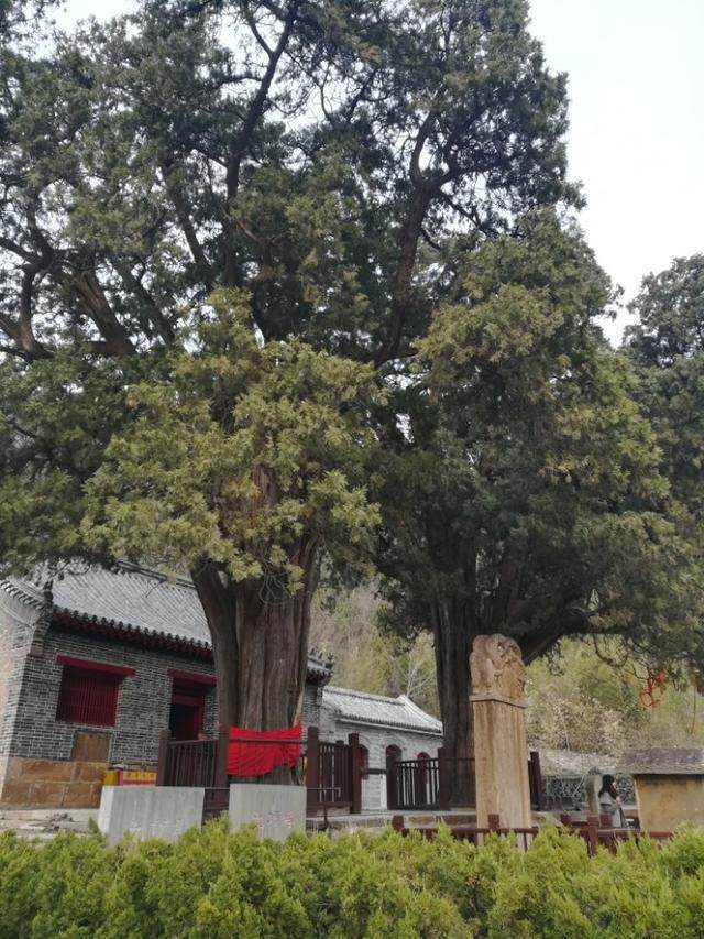 家门口万万别出现这几种情况有钱人都会躲开暗喻越住越穷(图5)