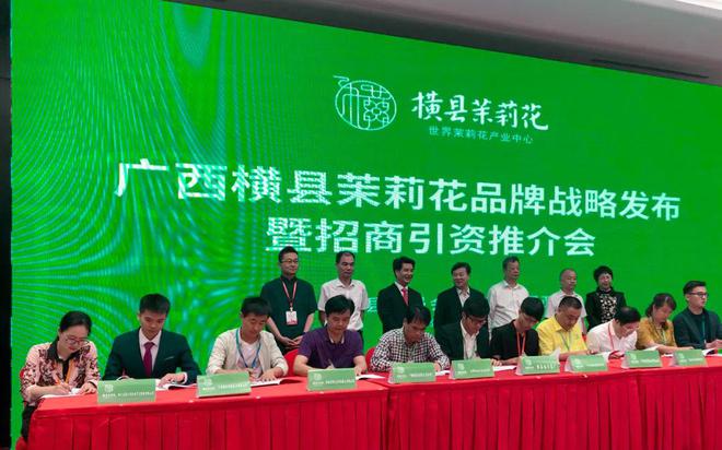 横州茉莉花传播推广之道：激光穿透大会营销集中力量办大事(图3)