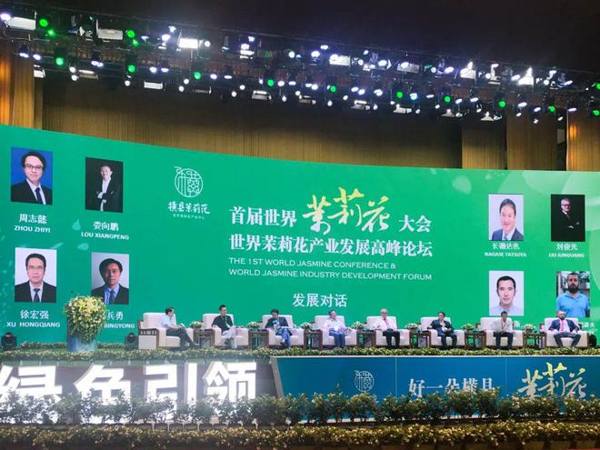 横州茉莉花传播推广之道：激光穿透大会营销集中力量办大事(图6)