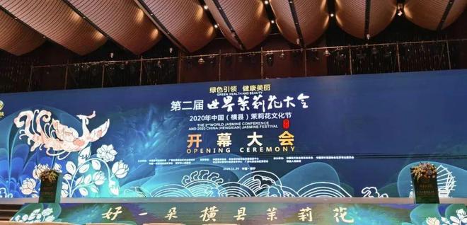 横州茉莉花传播推广之道：激光穿透大会营销集中力量办大事(图8)