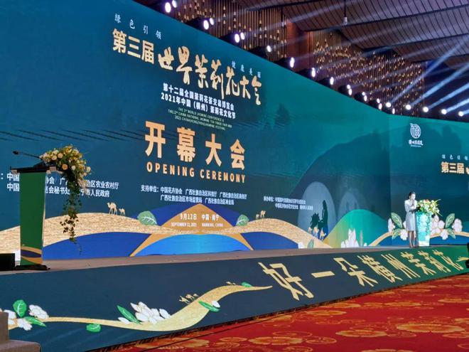 横州茉莉花传播推广之道：激光穿透大会营销集中力量办大事(图9)