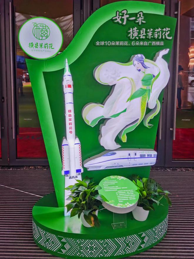 横州茉莉花传播推广之道：激光穿透大会营销集中力量办大事(图14)