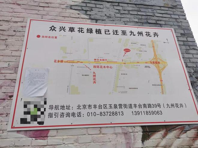 咱威廉希尔WilliamHill大兴人常去的这家“京城规模最大”花市即将腾退搬迁！想捡漏的抓紧去！(图12)
