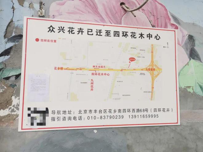咱威廉希尔WilliamHill大兴人常去的这家“京城规模最大”花市即将腾退搬迁！想捡漏的抓紧去！(图11)