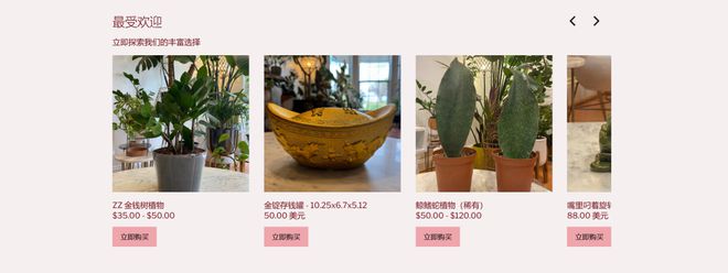 喜运达资讯：风水植物一夜爆火玄学的风还是吹到了Ti(图2)