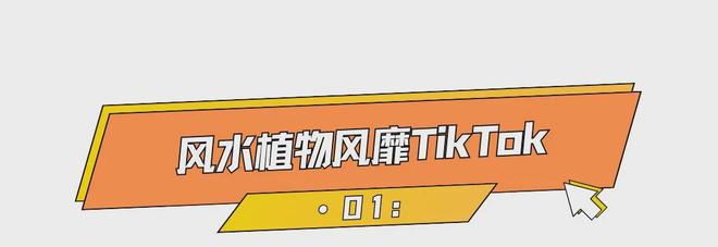 21亿次曝光老外迷恋中国风水带来大商机！(图1)