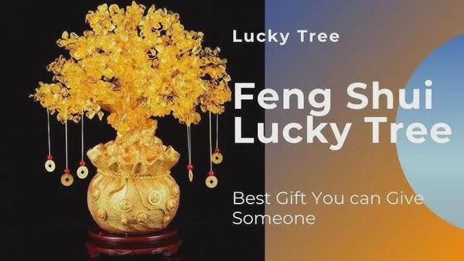 21亿次曝光老外迷恋中国风水带来大商机！(图5)
