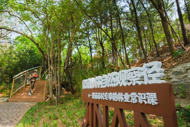 今年济南将建设30处自然教育观察径或自然教育示范基地(图4)