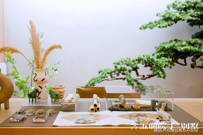 五个院子的别墅（2025官威廉希尔WilliamHill方网站）五个院子的别墅户型-配套(图14)