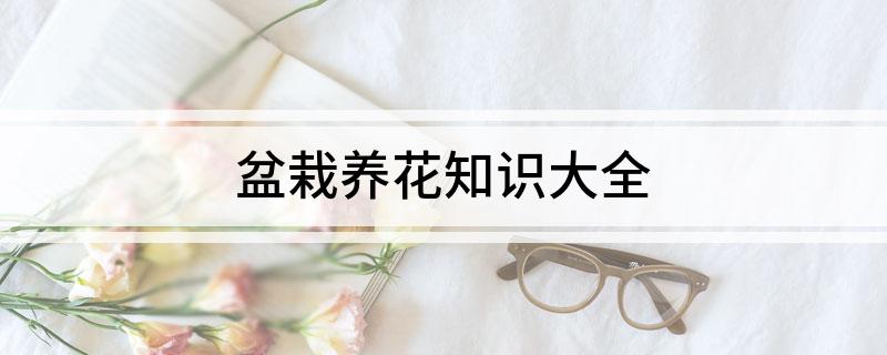 盆威廉希尔栽养花知识大全(图1)