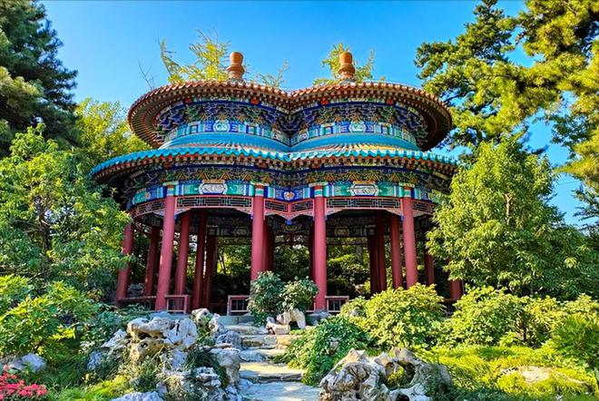 “富不富门前树”门前栽6种“护宅树”老人说“非富即贵”WilliamHill(图7)