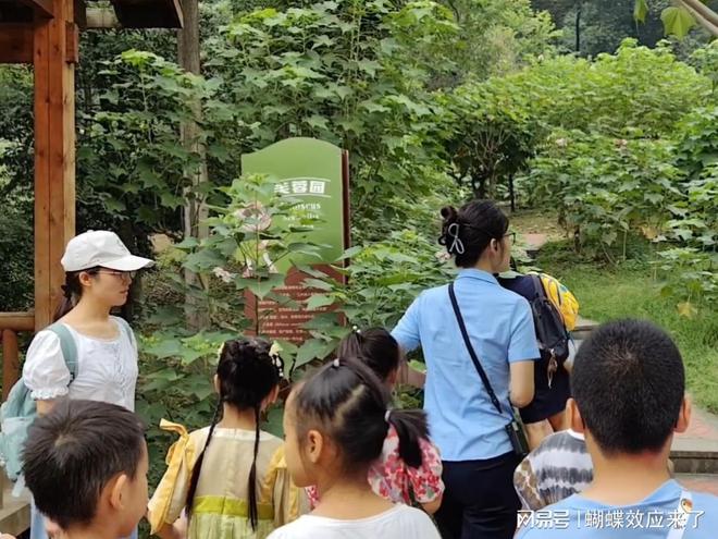 芙蓉飘四海应用展风采成都市植物园芙蓉科研推广绽放绚烂篇章(图9)