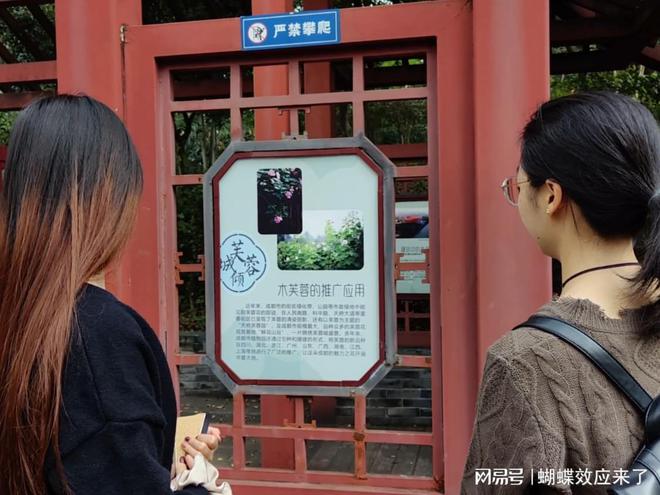 芙蓉飘四海应用展风采成都市植物园芙蓉科研推广绽放绚烂篇章(图3)