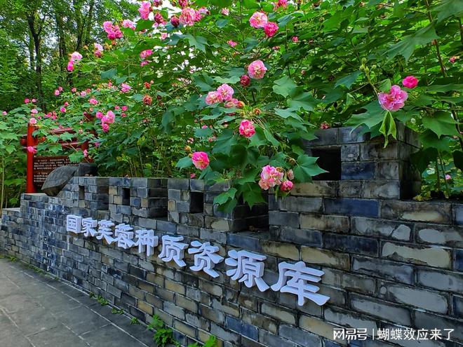 芙蓉飘四海应用展风采成都市植物园芙蓉科研推广绽放绚烂篇章(图5)