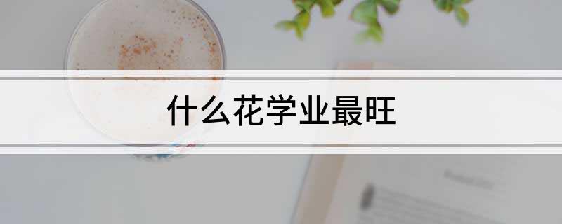 什么花学业最旺(图1)