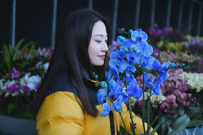 新年新“花”样儿！延庆年宵花“上新”(图5)